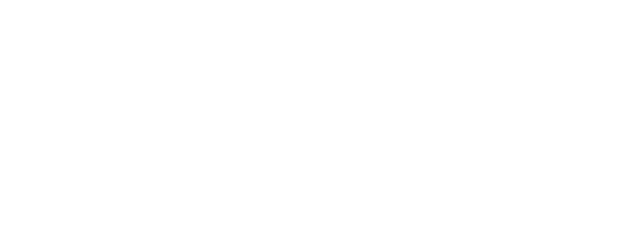 logo ORLEN
